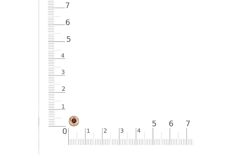 Подвеска Круг из красного золота с гранатом
